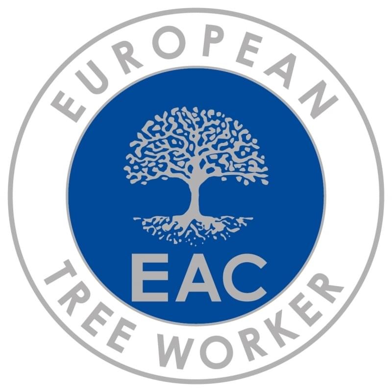 European tree worker in Oberhausen